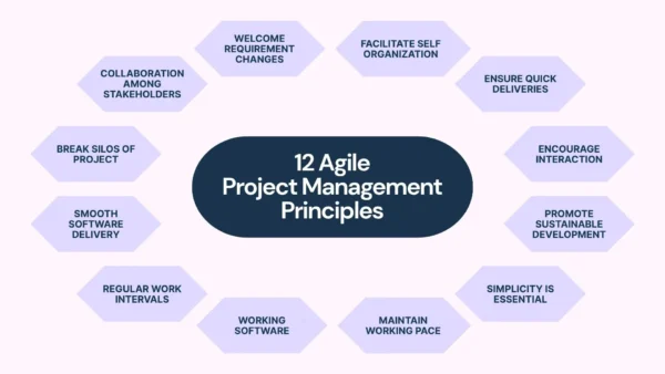 12 Agile Project Management Principles